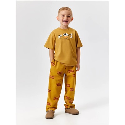 Acoola Брюки 20120460119