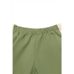 Шорты бермуды Енот