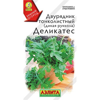 Руккола (двурядник) Деликатес Аэлит