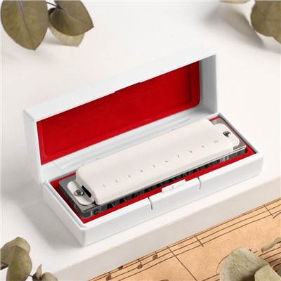 Губная гармошка Music Life T008L C диатоническая, 10 отверстий, с футляром