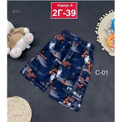 шорты 2053629-1