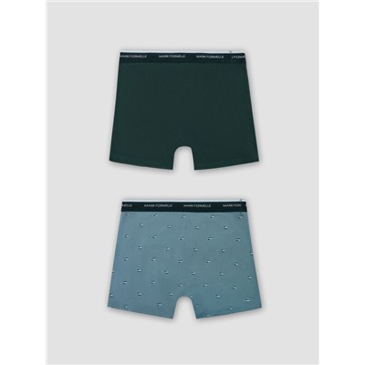 ТРУСЫ МУЖСКИЕ (2ШТ) 411235-2