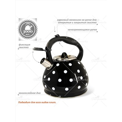 Merali Чайник ЧН-30-13