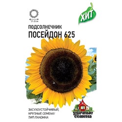 Подсолнечник Посейдон 625 ХИТ (Код: 93386)