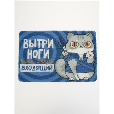 Коврик придверный «Вытри ноги», 40 х 60 см