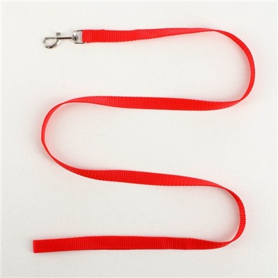 Комплект «Базис», поводок 120×1.5 см, шлейка 32-46×1.5 см, красный