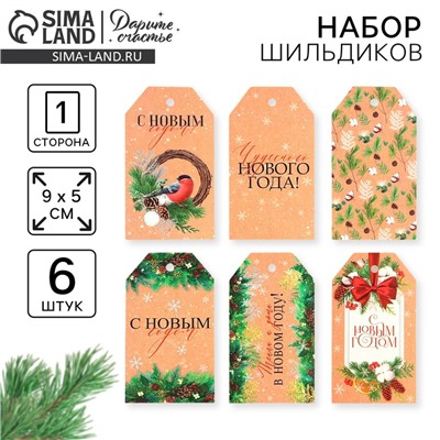 Шильдик новогодний декоративный в наборе «Время чудес», 6 шт., 9×5 см