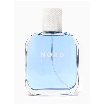 Туалетная вода мужская Free Style Nord Ice Dream, 100 мл