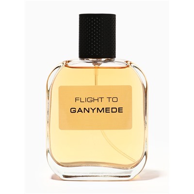 Туалетная вода мужская Free Style Flight to Ganymede, 100 мл