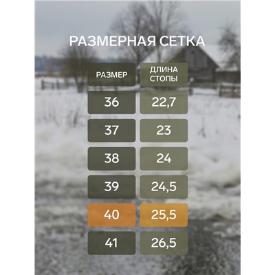 Галоши женские утепленные «Коро с отворотом», размер 40, серые