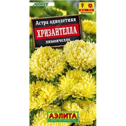 Астра Хризантелла Лимончелло (Код: 93512)