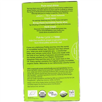 Pukka Herbs, Зеленый чай матча, 20 пакетиков зеленого чая, 1,5 г (0,05 унций) каждый