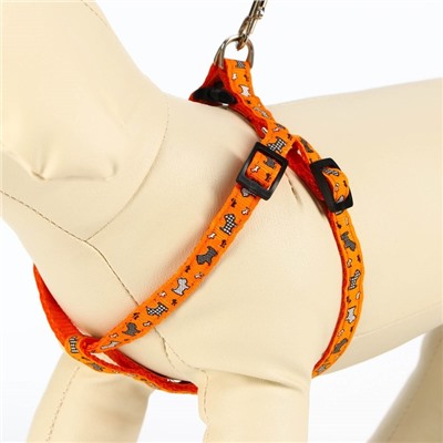 Комплект «Собачки», ширина 1 см, поводок 1.2 м, шлейка 23-35 см, оранжевый
