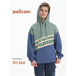 PELICAN Толстовка BFNK3370