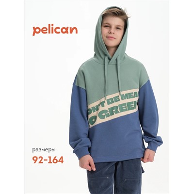 PELICAN Толстовка BFNK3370