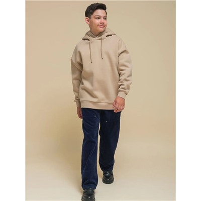 PELICAN Толстовка BFNK3337