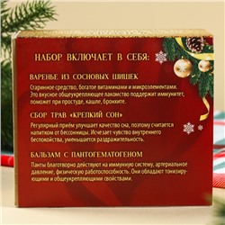 Подарочный набор новогодний «Будьте здоровы»: чай 20 г, варенье из сосновых шишек 30 г, бальзам 100 мл.