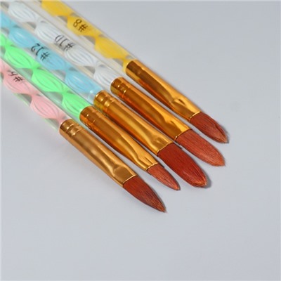 Набор кистей для наращивания и дизайна ногтей «Лепесток», 5 шт., 17 см, №4/6/8/10/12, разноцветный