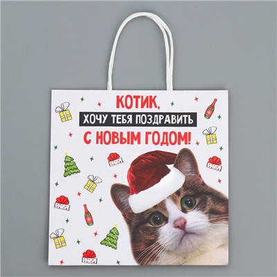 Пакет подарочный новогодний крафтовый «Котик», 22×22×11 см