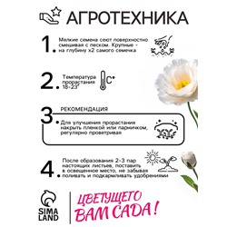 Семена   Эустома "Сапфир" F1 белая крупноцветковая , 5шт