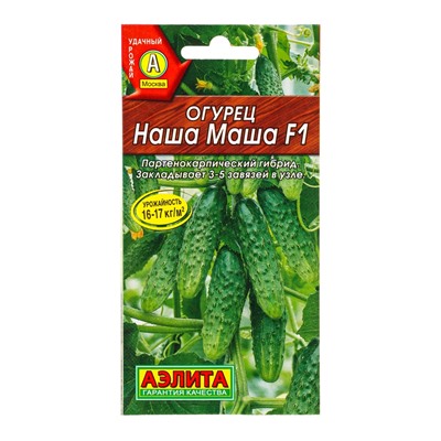Семена Огурец «Наша Маша», F1, партенокарпический, 10 шт., «АЭЛИТА»