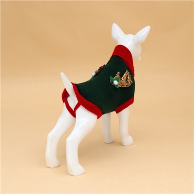 Свитер для животных «Рога удачи», размер XS (ДС 20 см, ОШ 17, ОГ 23-37), зелёный