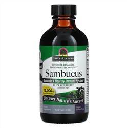 Nature's Answer, черная бузина, 12 000 мг, 120 мл (4 жидк. унции)