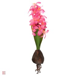 Цветок искусственный Гиацинт, пластик, 25см, 3 цвета