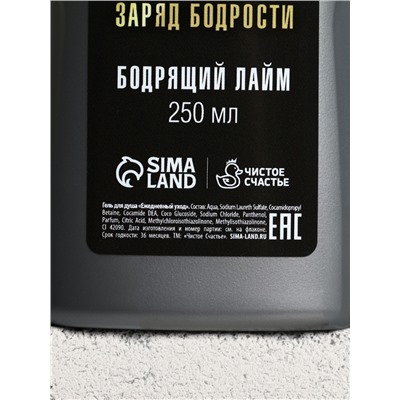 Подарочный набор «Подарок джентльмену», бодрящий гель для душа 250 мл, гель для бритья 110 мл