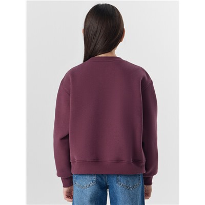 СВИТШОТ ДЛЯ ДЕВОЧЕК 127982