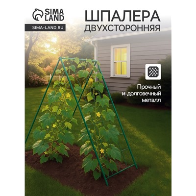 Шпалера для огурцов, двухсторонняя, 118×78 см, металл