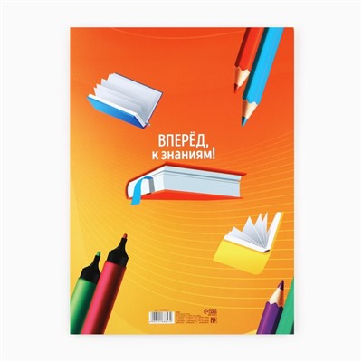 Папка, 2 файла, А4. «Выпускник начальной школы»