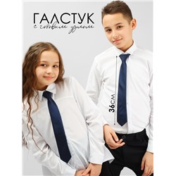 Соль&Перец Галстук SP304A