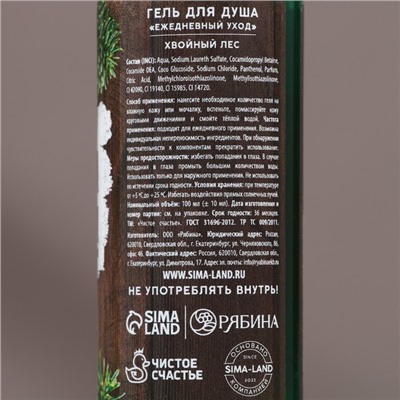 Подарочный набор новогодний «С праздником»: гель для душа и шампунь для волос, 2×100 мл, Чистое счастье