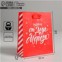Пакет подарочный новогодний ламинированный «Подарок от Деда Мороза», S 12×15×5.5 см
