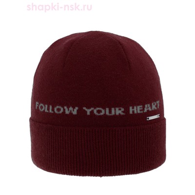 Follow Шапка для мальчика (50-54)