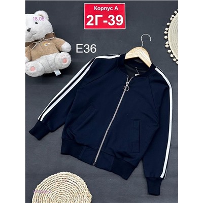 кофта 1979206-2