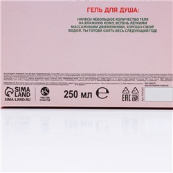 Подарочный набор новогодний «Время сиять», гель для душа 250 мл и ежедневник, Чистое счастье