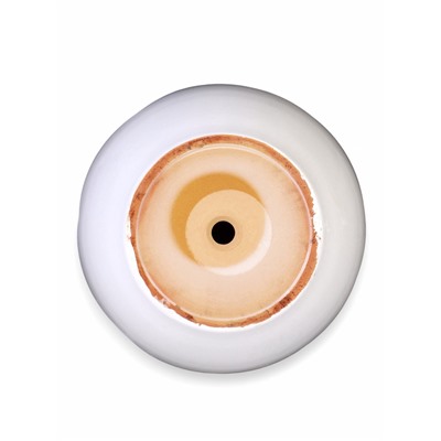 Горшок для цветов «Белый», керамика, с поддоном, набор 4 шт.: 400 мл, 1 л, 2.5 л, 5 л