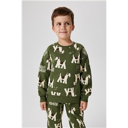 Джемпер ACOOLA, 1195376