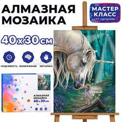 Мозаика алмазная "Единорог и фея" 30*40см.