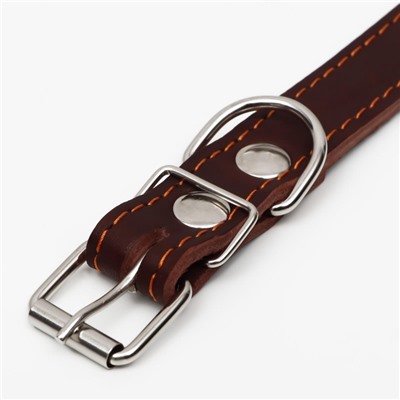 Ошейник однослойный, безразмерный, 56×2.5 см, ОШ 17-44 см, кожа, коричневый
