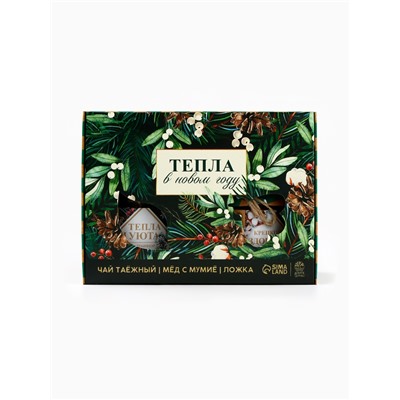 Подарочный набор новогодний «Тепла», мёд с мумие 250 г, чай 50 г, ложка