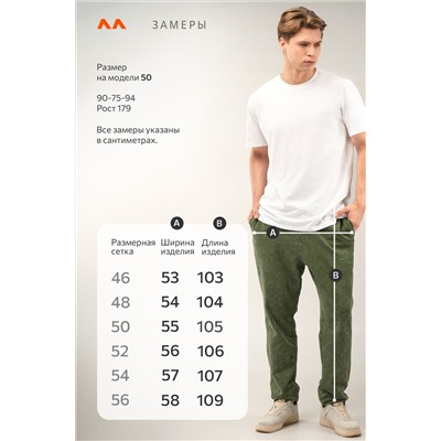 Мужские брюки из футера двухнитки Happyfox