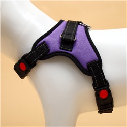 Шлейка К7, размер S, ОГ 44-55 см, вес 5-9 кг, мягкая, светоотражающая, фиолетовая