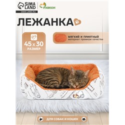 Лежанка для животных, двухсторонняя подушка, 45×30×15 см