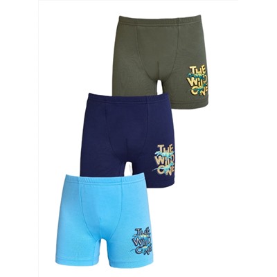 Трусы для мальчика Berrak