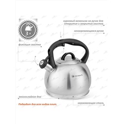 ZEIDAN Чайник Z-4481