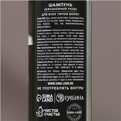 Подарочный набор новогодний мужской «Успехов в году»: гель для душа и шампунь для волос, 2×100 мл, Чистое счастье