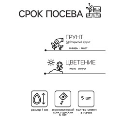 Семена цветов Ранункулюс "Блюмингдейл", 5 шт.